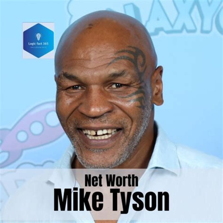 Mike Tyson Net Worth WealthMack